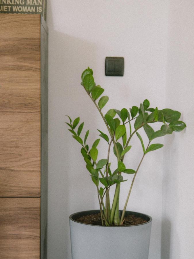 Willa Piwniczka Apartament Jahlowej Piwniczna-Zdroj Zewnętrze zdjęcie